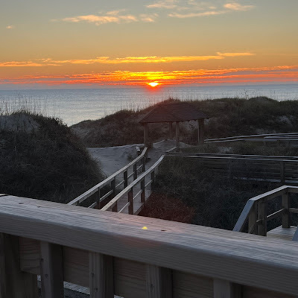 Meet your Posher, Carrington